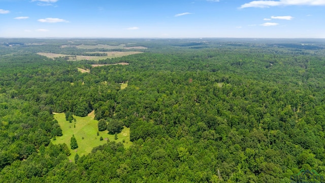 TBD County Road 1596, Avinger, TX 75630 - photo 9