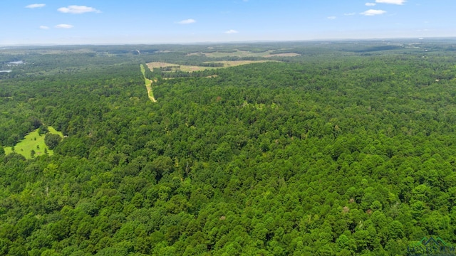 TBD County Road 1596, Avinger, TX 75630 - photo 10