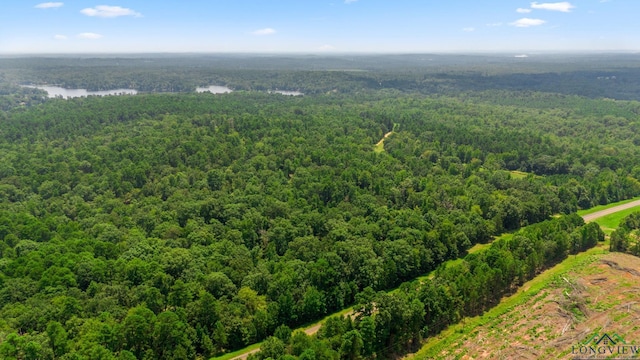 TBD County Road 1596, Avinger, TX 75630 - photo 11