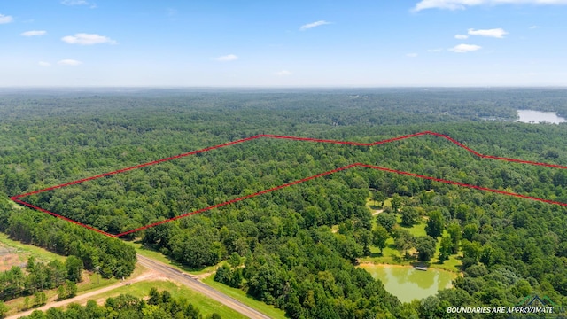 TBD County Road 1596, Avinger, TX 75630 - photo 6