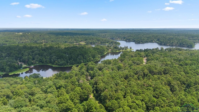 TBD County Road 1596, Avinger, TX 75630 - photo 15