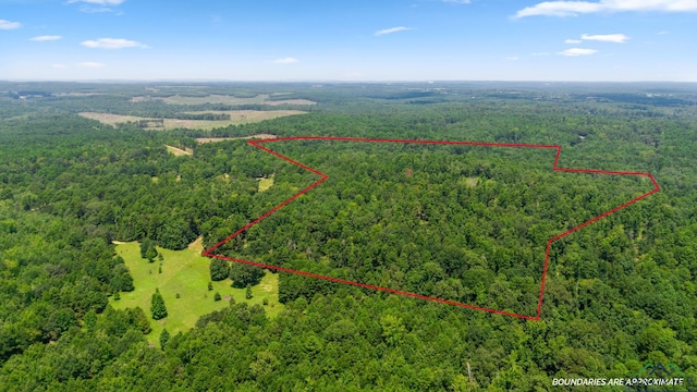 TBD County Road 1596, Avinger, TX 75630 - photo 4