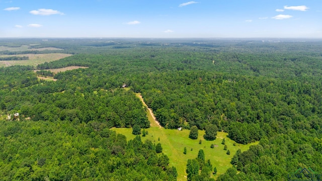 TBD County Road 1596, Avinger, TX 75630 - photo 8