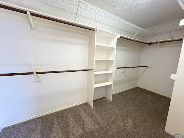 walk in closet with dark carpet