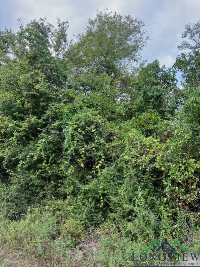 TBD Highway 49, Jefferson TX, 75657 land for sale