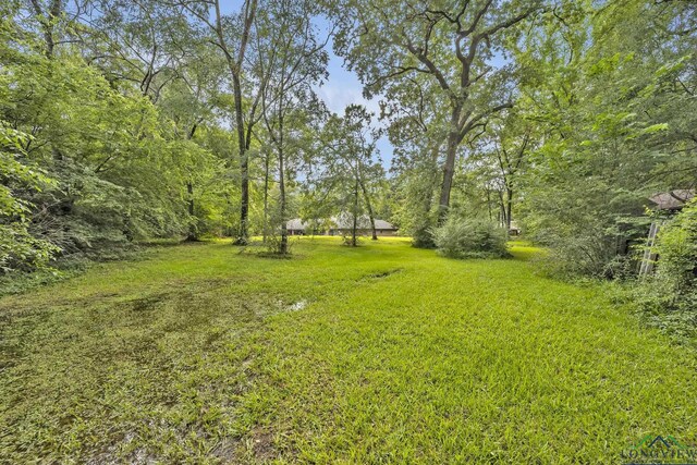 202 Timberlane Dr, Carthage, TX 75633 - photo 32