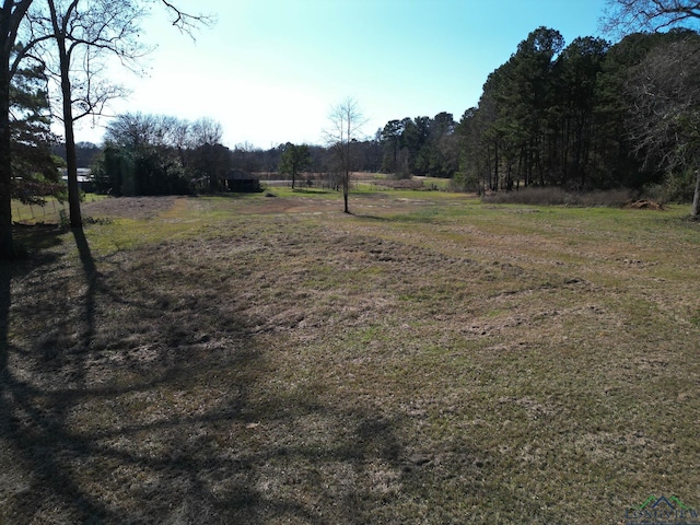 Listing photo 3 for TBD W Gay Ave, Gladewater TX 75647