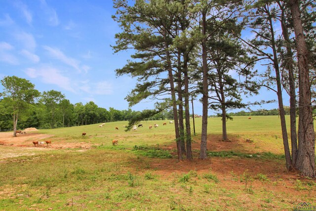 19413 US Highway 79 E, Jacksonville, TX 75766 - photo 6