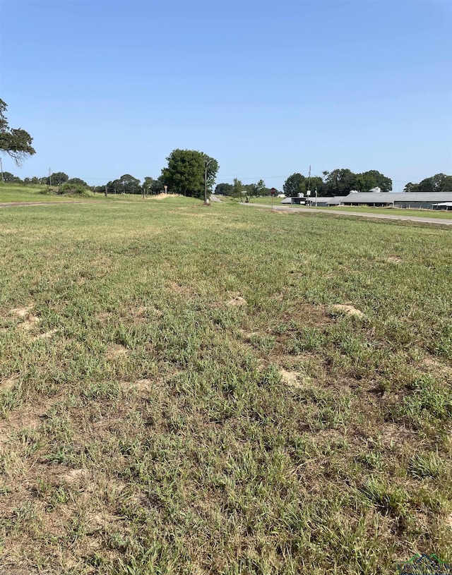 Listing photo 2 for TBD Fm 1519, Leesburg TX 75451