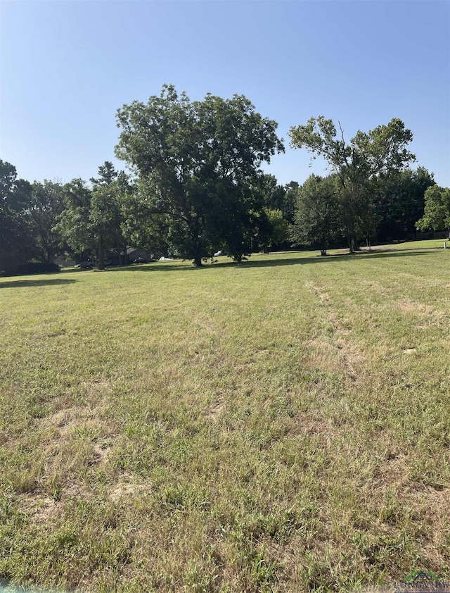 TBD Fm 1519, Leesburg TX, 75451 land for sale