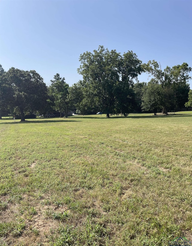 Listing photo 3 for TBD Fm 1519, Leesburg TX 75451