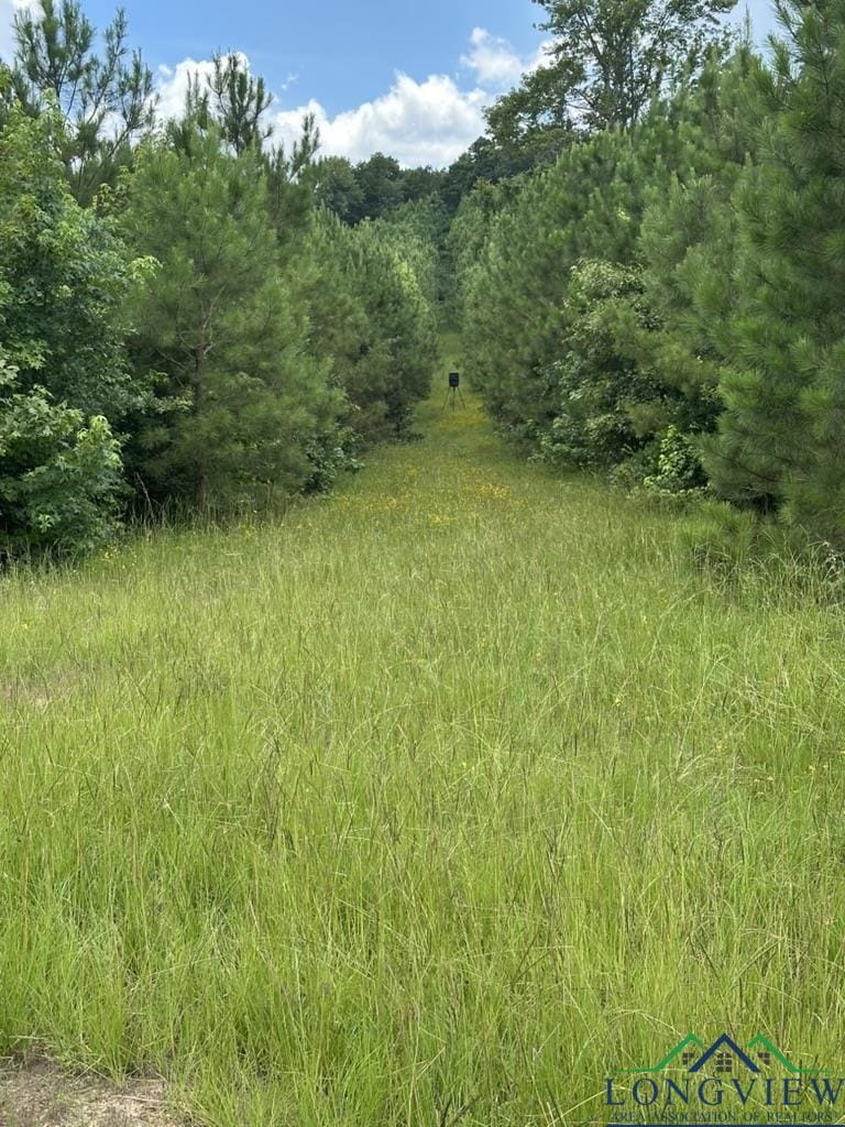 TBD Pope Rd, Harleton, TX 75651 - photo 3
