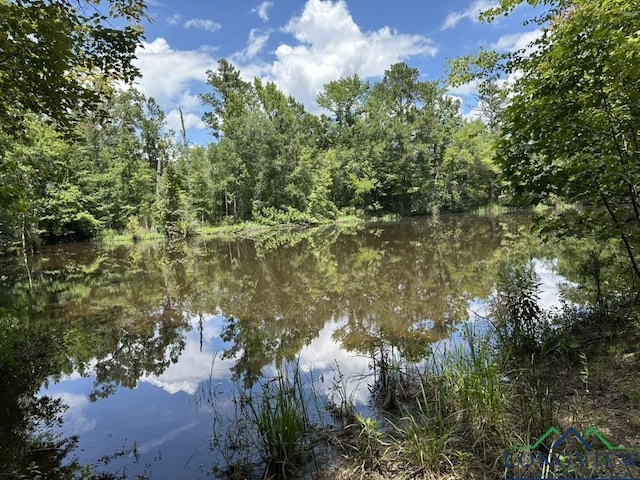 TBD Pope Rd, Harleton, TX 75651 - photo 2