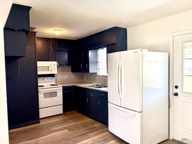 kitchen with a sink, a textured ceiling, white appliances, light wood-style floors, and light countertops