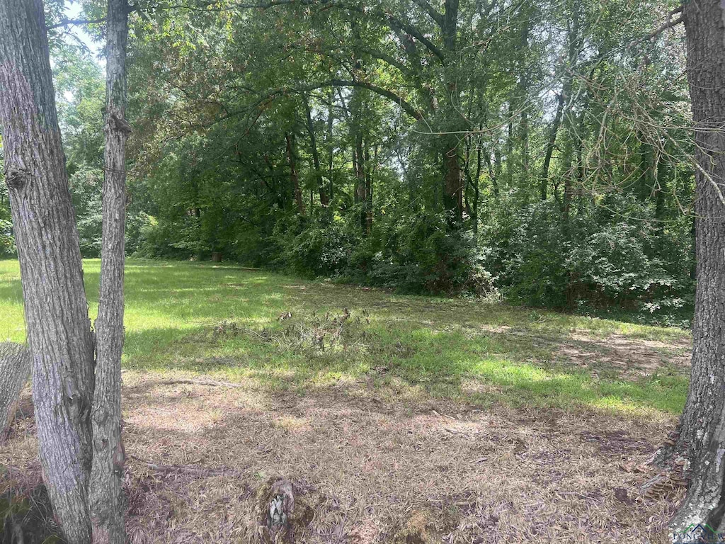 TBD County Line Rd, Gladewater, TX 75647 - photo 1