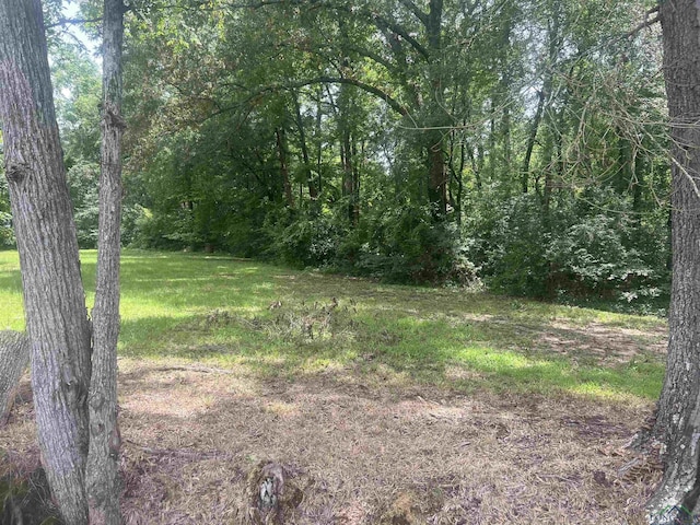 TBD County Line Rd, Gladewater, TX 75647 - photo 1