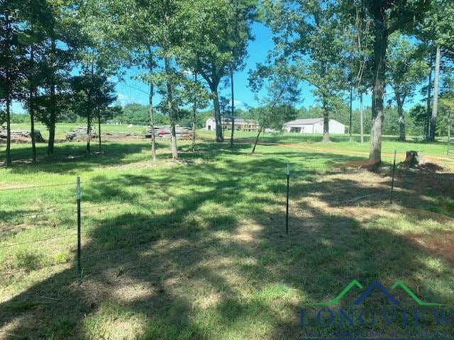318 Palm Rd, Big Sandy, TX 75755 - photo 28