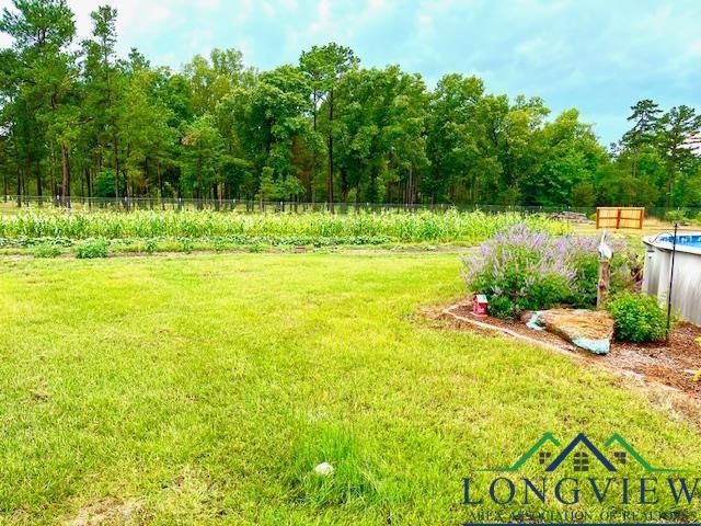 318 Palm Rd, Big Sandy, TX 75755 - photo 29