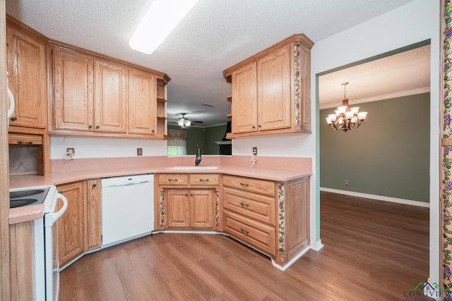 kitchen with sink, hanging light fixtures, white appliances, ceiling fan with notable chandelier, and hardwood / wood-style flooring