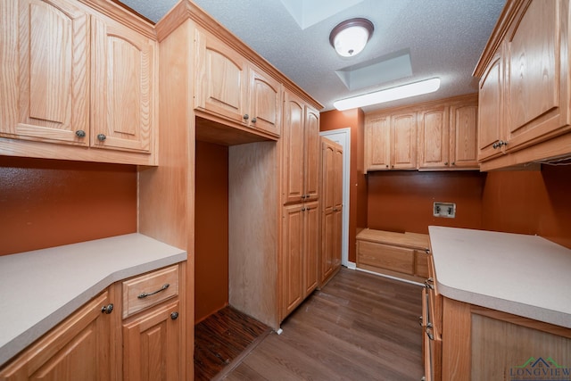 kitchen featuring light brown cabinetry, a textured ceiling, and dark hardwood / wood-style floors