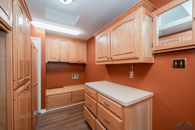 kitchen featuring light brown cabinets, dark hardwood / wood-style floors, and a textured ceiling