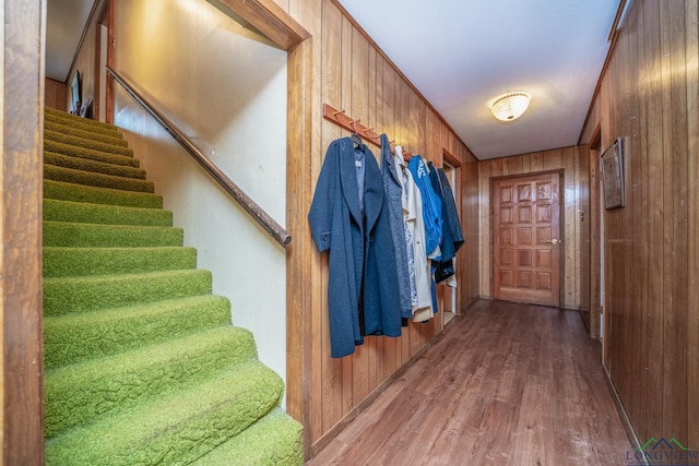 mudroom with wood-type flooring, ornamental molding, and wooden walls