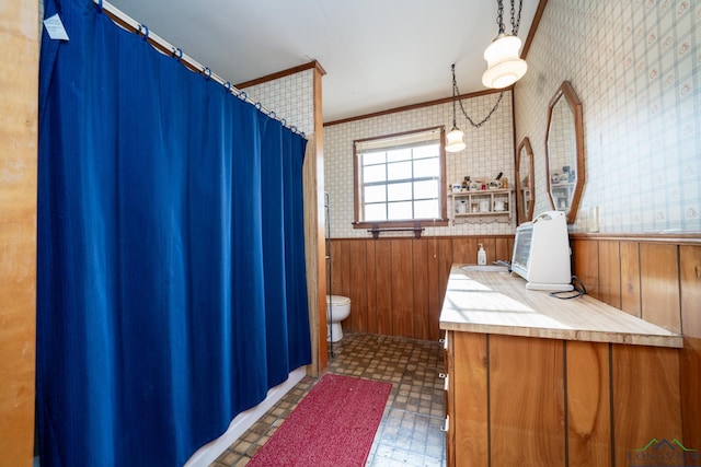 bathroom with wood walls, toilet, vanity, and ornamental molding