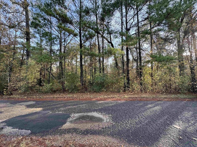 TBD Blocker Rd, Marshall TX, 75642 land for sale