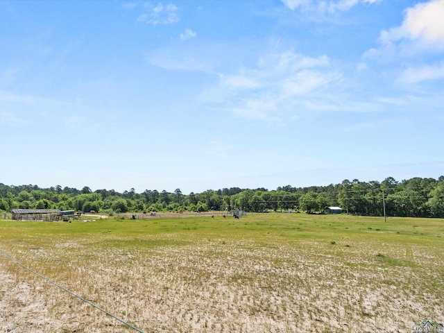 3472 Fm 2869, Hawkins, TX 75765 - view of local wilderness with rural landscape