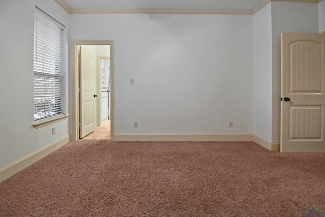 spare room with ornamental molding and light carpet