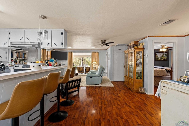 kitchen featuring white cabinetry, ceiling fan, dark wood-type flooring, and a textured ceiling