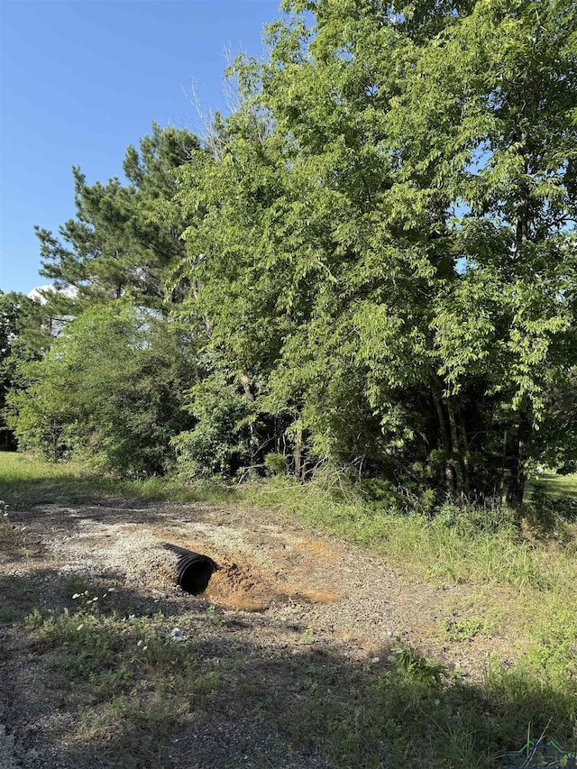 TBD Fm 1969, Avinger, TX 75630