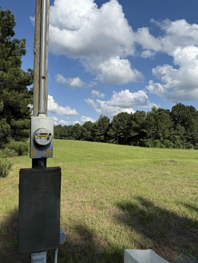 TBD Fm 1969, Avinger, TX 75630