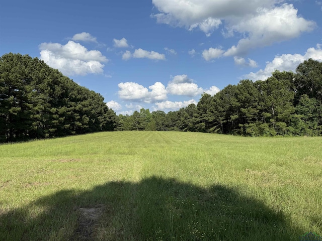 TBD Fm 1969, Avinger, TX 75630
