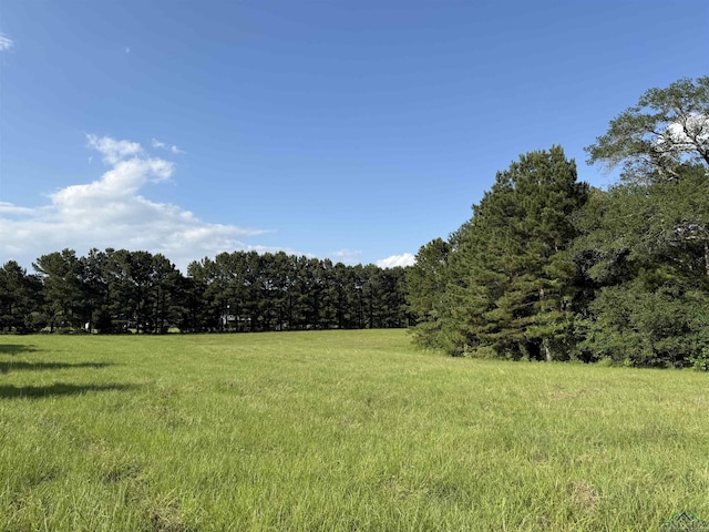 TBD Fm 1969, Avinger, TX 75630