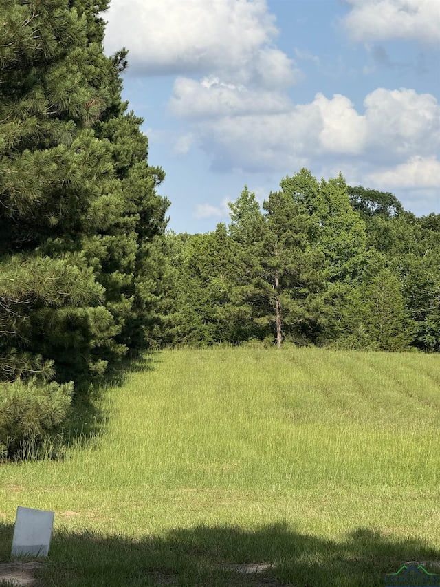 TBD Fm 1969, Avinger, TX 75630