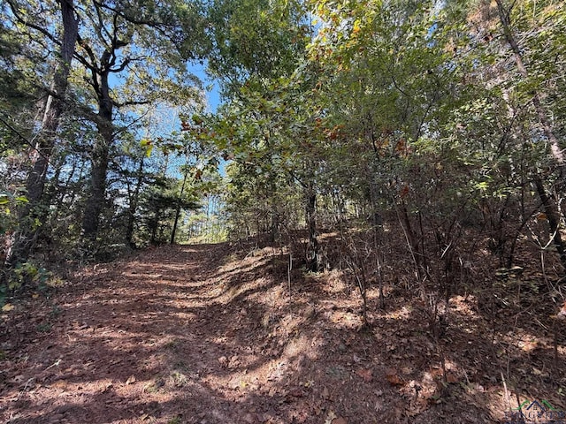 view of local wilderness