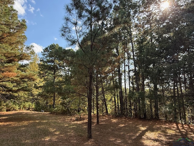 view of local wilderness