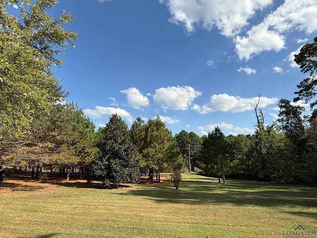 view of property's community featuring a yard