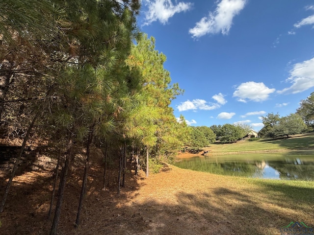 property view of water