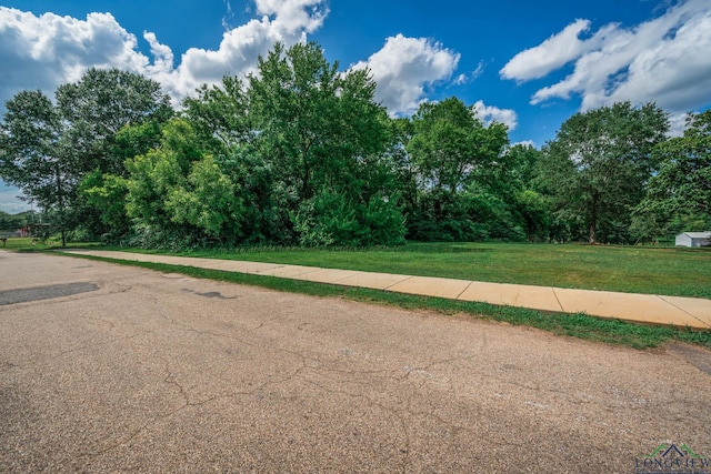 1505 Positive Pl, Marshall, TX 75670 - photo 3