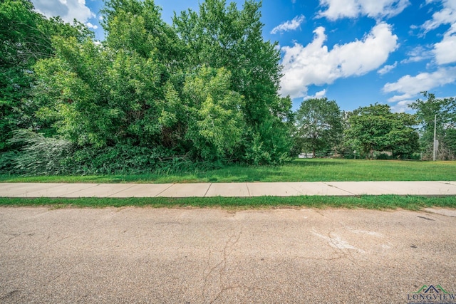 1505 Positive Pl, Marshall, TX 75670 - photo 4