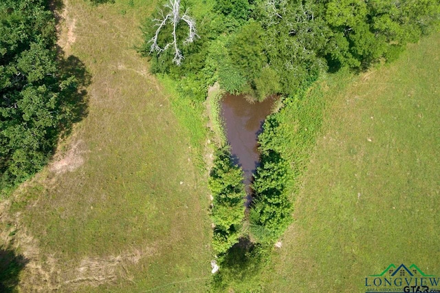 4781 Fm 1993, Cookville, TX 75558 - photo 3