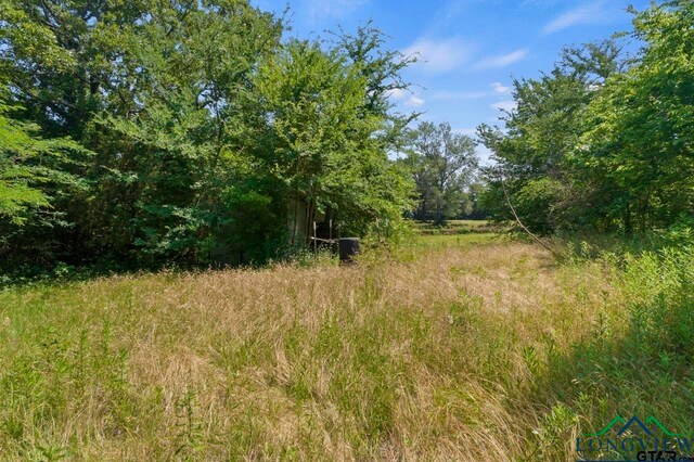4781 Fm 1993, Cookville, TX 75558 - photo 6