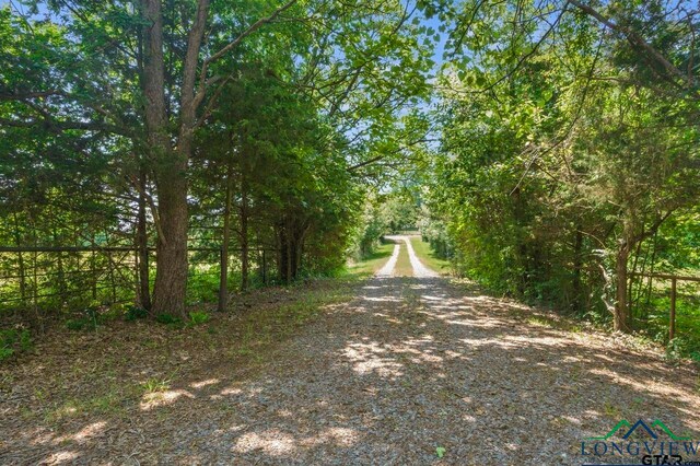 4781 Fm 1993, Cookville, TX 75558 - photo 9