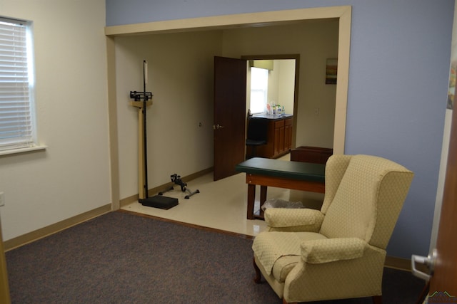 sitting room featuring carpet