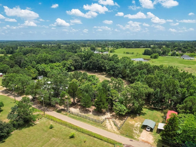 162 Holloway, Big Sandy, TX 75755 - photo 23