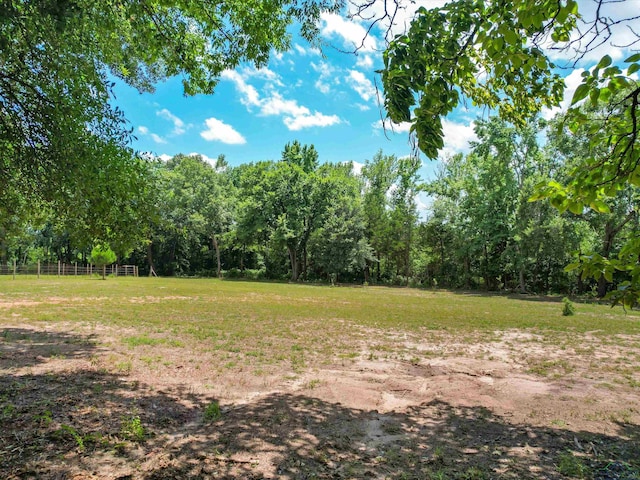 162 Holloway, Big Sandy, TX 75755 - photo 28