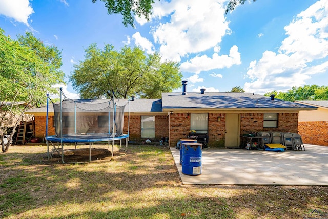 back of property featuring a patio, a trampoline, and a lawn