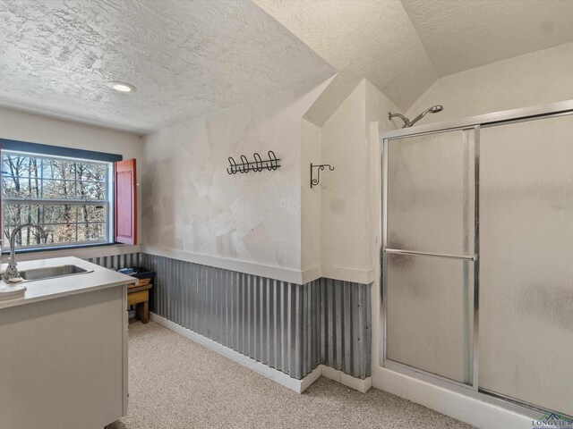 interior space featuring vanity, a shower with door, lofted ceiling, and a textured ceiling